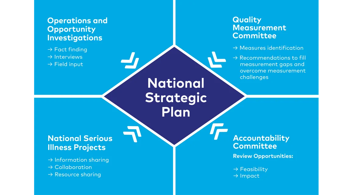 2.4.3 Serious Illness Quality Alignment Hub - QAH National Strategic Plan.png