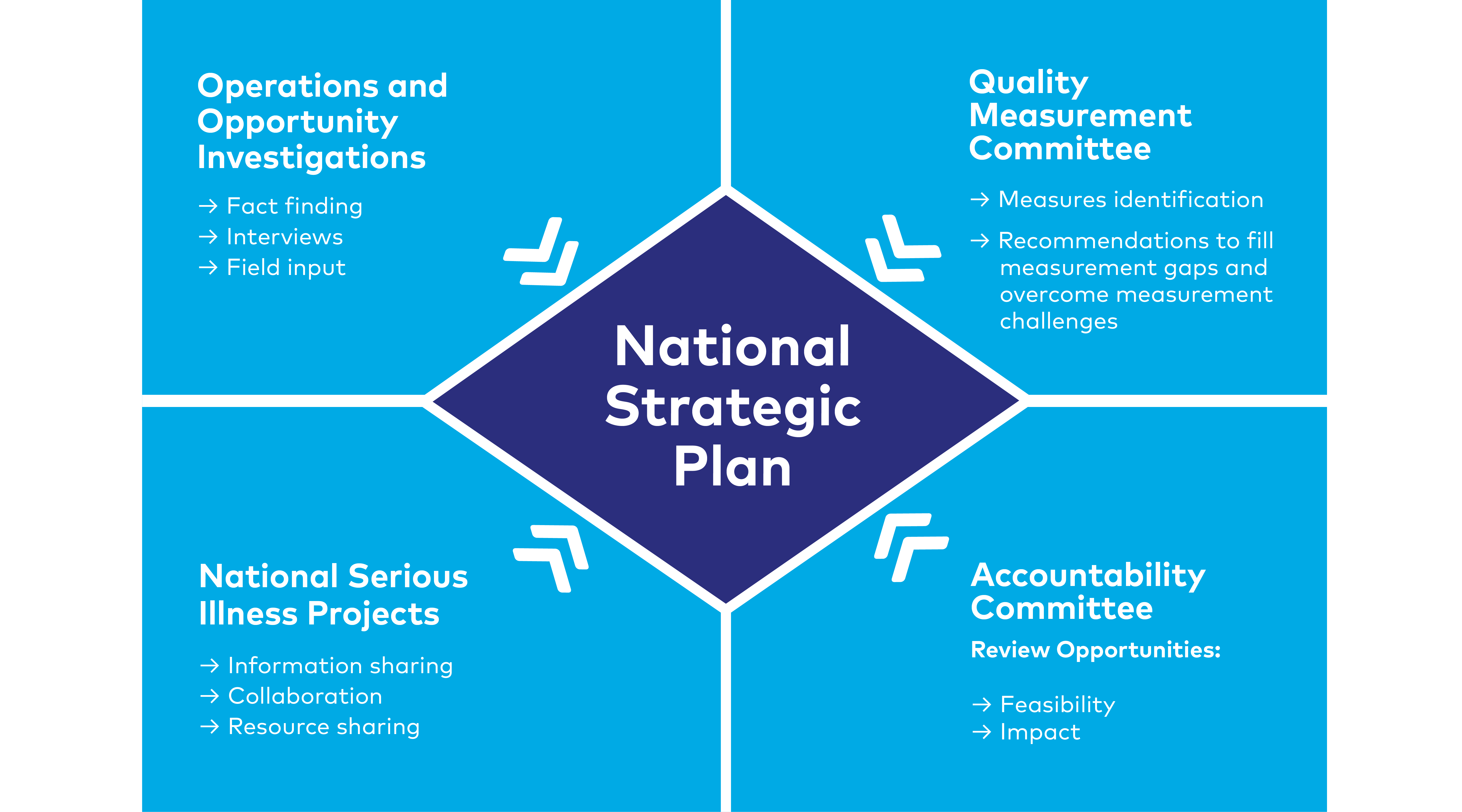 2.4.3 Serious Illness Quality Alignment Hub - QAH National Strategic Plan.png