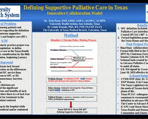Defining Supportive Palliative Care in Texas - Poster Image