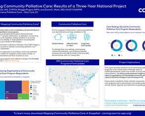 Mapping Community Palliative Care: Results of a Three-Year National Project  - Poster Image