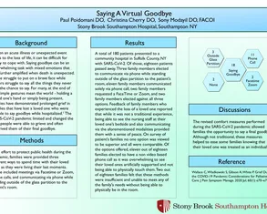 Saying A Virtual Goodbye - Poster Image