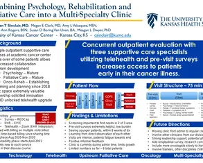 Creating a Telehealth Clinic with Psychology, Rehabilitation and Palliative Care - Poster Image
