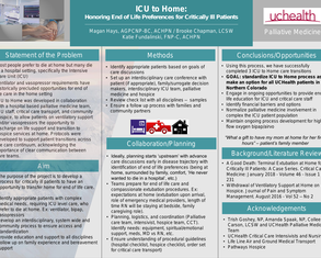ICU to Home: End of life care options  for critically ill hospitalized patients - Poster Image