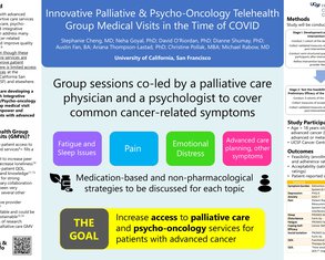 Innovative Palliative & Psycho-Oncology Telehealth Group Medical Visits in the Time of COVID - Poster Image