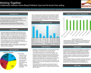 Improved Communication between Home Based Palliative Care and Hospital - Poster Image