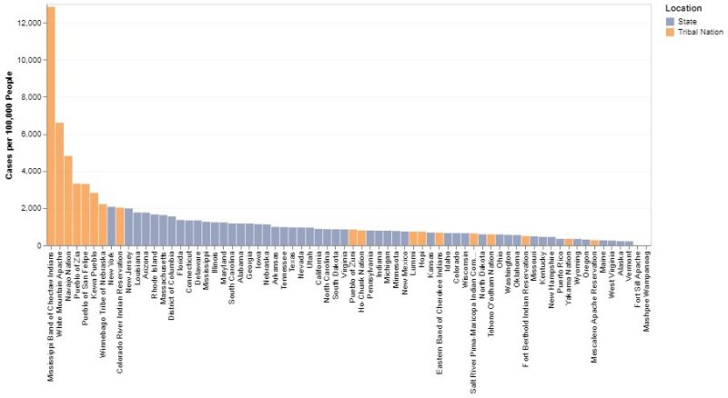 Graph Illustrating COVID-19 Case Rate by Select Tribal Nations and States