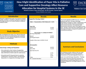 Identification of a palliative care program payor mix in Southeast - Poster Image