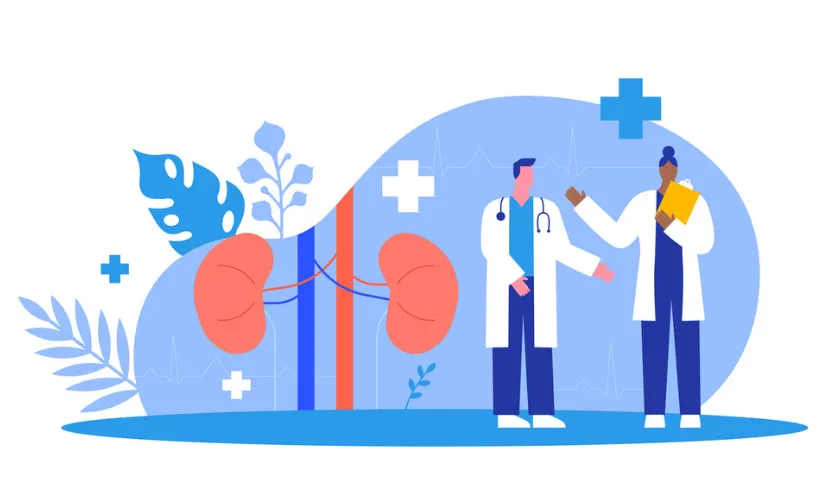 Illustration of kidneys and medical team talking to eachother (840 x 500 px)