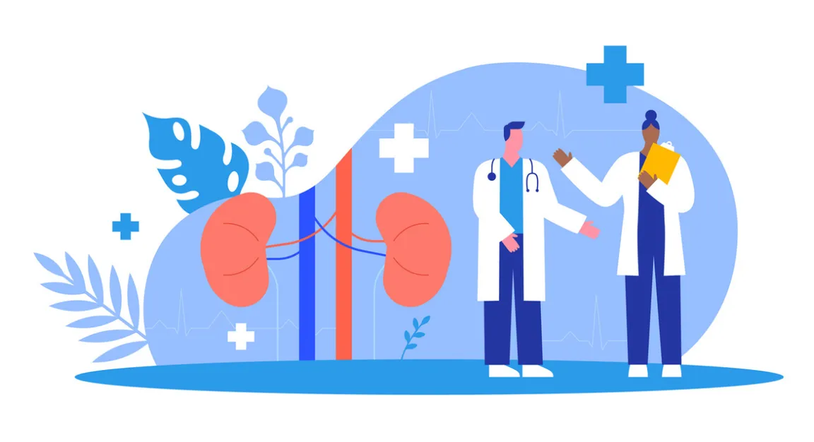 Illustration of kidneys and medical team talking to eachother
