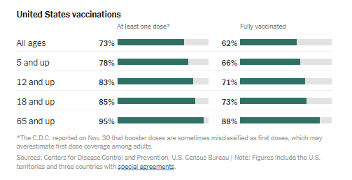 Image, The New York Times reports U.S. vaccinations, December 28