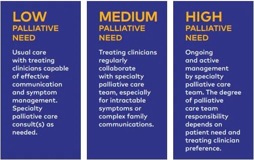 https://palliativeinpractice.org/wp-content/uploads/Layers-pal-care-access.jpg