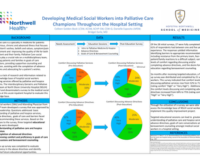 Developing Medical Social Workers into Palliative Care Champions Throughout the Hospital Setting - Poster Image