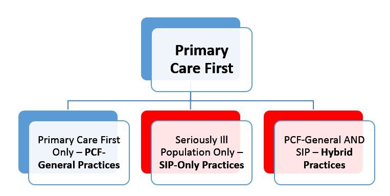 Options for Primary Care First - 2
