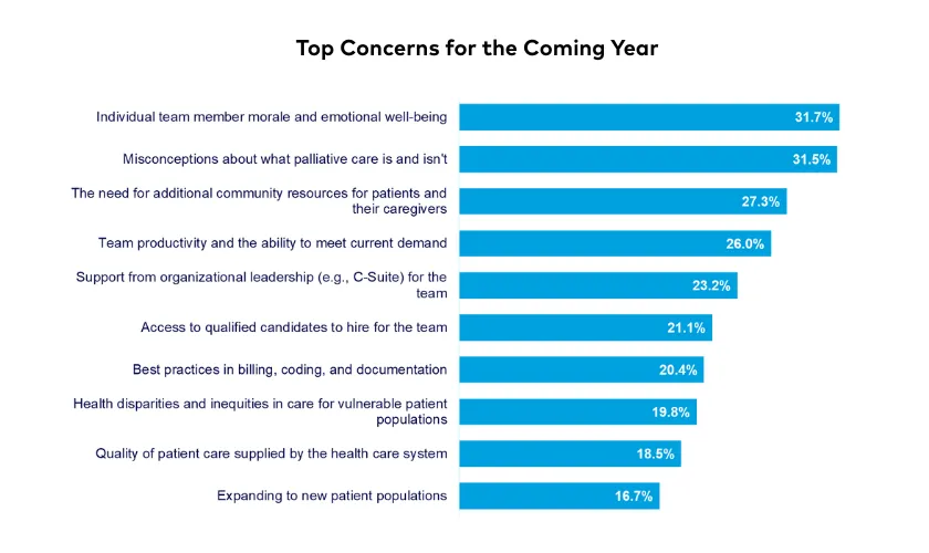 Figure 2. Top concerns for the coming year (n=854)