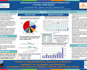 Estimating the Need for CBPC in a Public Health System - Poster Image