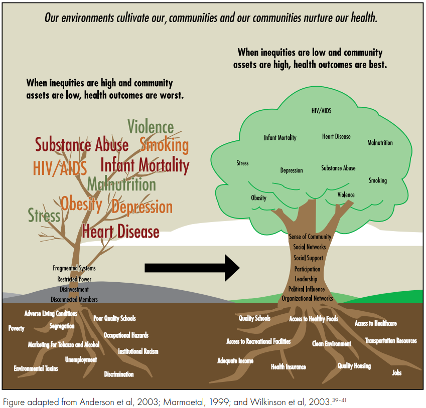 Social Determinants Of Health Tree