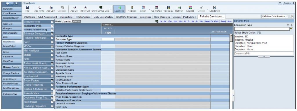 Epic Charting System Training