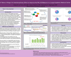 It Takes a Village: An Interdisciplinary Effort to Improve the PAL-05 Measure in a Large Academic Medical Center - Poster Image
