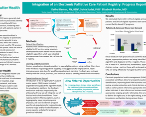 Integration of an Electronic Palliative Care Registry - Poster Image